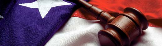 Legal Language Services litigation support